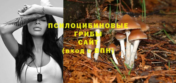 PSILOCYBIN Наволоки